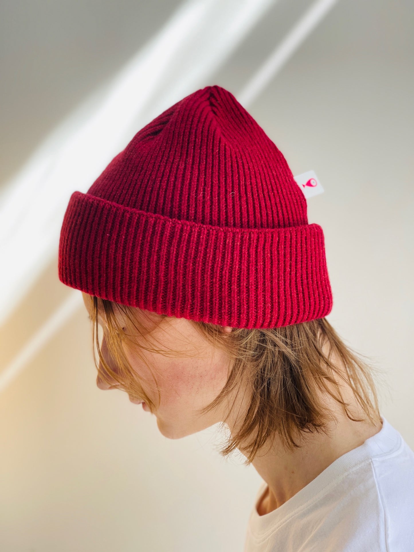 BEANIE "FISH" POP PALETTE TRIO